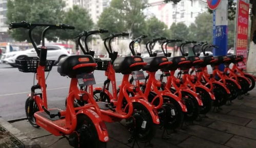喜大普奔！共享電動單車正式登陸都昌，綠色出行再添新選擇